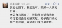 人阳了,会传染给猫/狗吗 首例!狗与人同床后感染猴痘