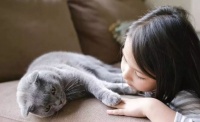 猫咪居然也长青春痘?原来是这样