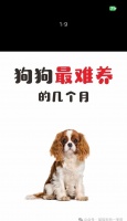 狗狗也会长痘痘?解析狗狗皮肤问题的关键是什么(了解狗狗长痘的原因与治疗方法,守护狗狗的健康)