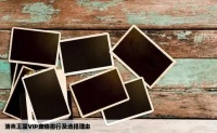 洛克王国VIP哪个宠物好要排行说理由