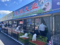 记者在现场丨家和宠物:打造全国名优犬猫交易集散地