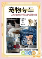宠物狗如何托运（狗狗怎么托运）