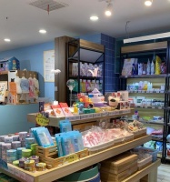 宠物店猫咪洗澡的费用和方法（了解宠物店给猫洗澡的价格和步骤，让你的猫咪保持清洁健康）