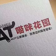#单县宠物猫#单县喵...
