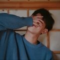 谁能拒绝这些可爱的相貌小狗呢？