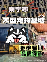 南宁宠物猫狗哪里买靠谱?这里安全可靠还能实地选宠物不虚此行