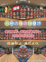 苏州宠物市场在哪里？这里可以线下实体店挑选宠物！