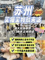 苏州买宠物猫狗哪里比较安全？（苏州）这里买宠物安全可靠有保障