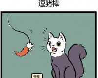 非人哉:敖烈逗宠物不走寻常路,别人用逗猫棒,他却用证!