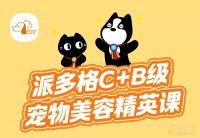 南宁C+B级宠物美容精英课程
