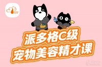 南宁c级宠物美容精才课程