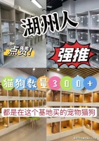 湖州吴兴区买阿拉斯加犬哪家宠物店口碑好？湖州这家宠物店良心推荐，信誉高