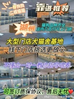 湖州买狗买猫的地方在哪里？这里有你想要的还能亲自挑选宠物哦