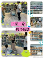 湖州买雪纳瑞犬猫的宠物店哪家口碑好丨湖州买雪纳瑞犬首页网站