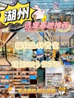 湖州买金毛犬的地方？湖州这里有正规买金毛犬基地，买金毛犬的好去处！