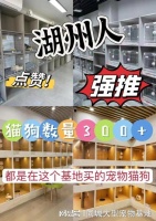 湖州哪里有卖宠物的市场?这里实体店选购宠物，安全更值得信赖