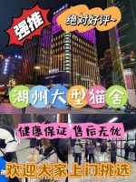 湖州最大的宠物市场在哪里?这里安全可靠能挑选心仪的宠物