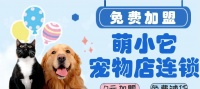 开宠物店需要学什么？（宠物店创业需要掌握的知识和技能）