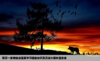 想开一家宠物店需要专门去学习这些知识吗如果开店大概需要多少