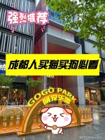成都哪里有边牧犬出售（成都）这家宠物店买边牧犬选择性多