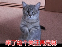 宠物蛔虫检测方法介绍（怎么知道犬蛔虫已除尽）