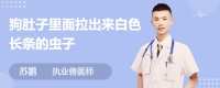 狗肚子里面拉出来白色长条的虫子