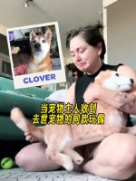 泪目！当宠物主人们收到已故宠物的同款玩偶 ..