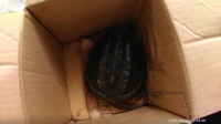 广州南站能不能带宠物进高铁,高铁宠物托运手续
