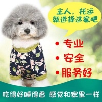 潼南靠谱的宠物托运上门接宠