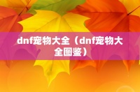 dnf宠物大全（dnf宠物大全图鉴）