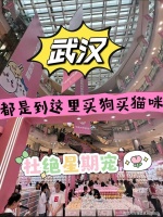 武汉哪里有正规犬舍猫舍？（武汉）这里买宠物品质好，靠谱！