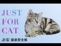 宠物疾病检测