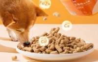 国朴宠物食品，以专业守护宠物健康成长