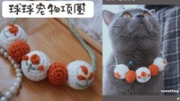 猫咪衣服编织教程，宠物时尚DIY！