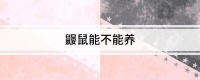 鼹鼠能不能养