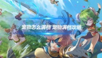 魔力宝贝 宠物怎么满档 宠物满档攻略