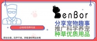 盘点世界上最知名的10只狗狗，八公才排第5，第1名你不得不服