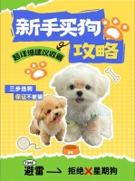 如何在网上买宠物狗（宠物店买狗注意事项）