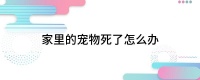 家里的宠物死了怎么办
