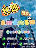 长沙口碑好的宠物店在哪里?实地探访这确保安全选购您的爱宠