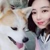 【步骤图】自制秋田犬专用紫薯美毛去泪痕营养狗粮的做法