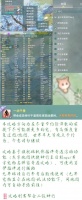 模拟人生3宠物攻略：全宠物捕捉及养成技巧详解