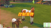 控制宠物｜Selectable Pets Always