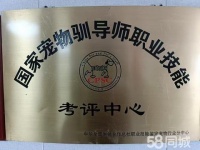 沈阳和平宠物美容电话