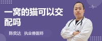 一窝的猫可以交配吗