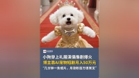 小狗穿上礼服演偶像剧爆火，博主靠AI宠物短剧月入50万元，“几分钟一条成片，月涨粉百万很常见”，还能私人订制专属剧情和主题艺术照