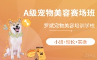 武汉A级宠物美容赛场班