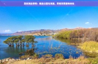 深圳海边带狗：精选公园与海滩，尽情享受宠物时光