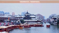 江苏到云南宠物托运几天:了解运输时间与物流方式