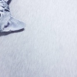 请问有没有快递可以寄宠物？急求